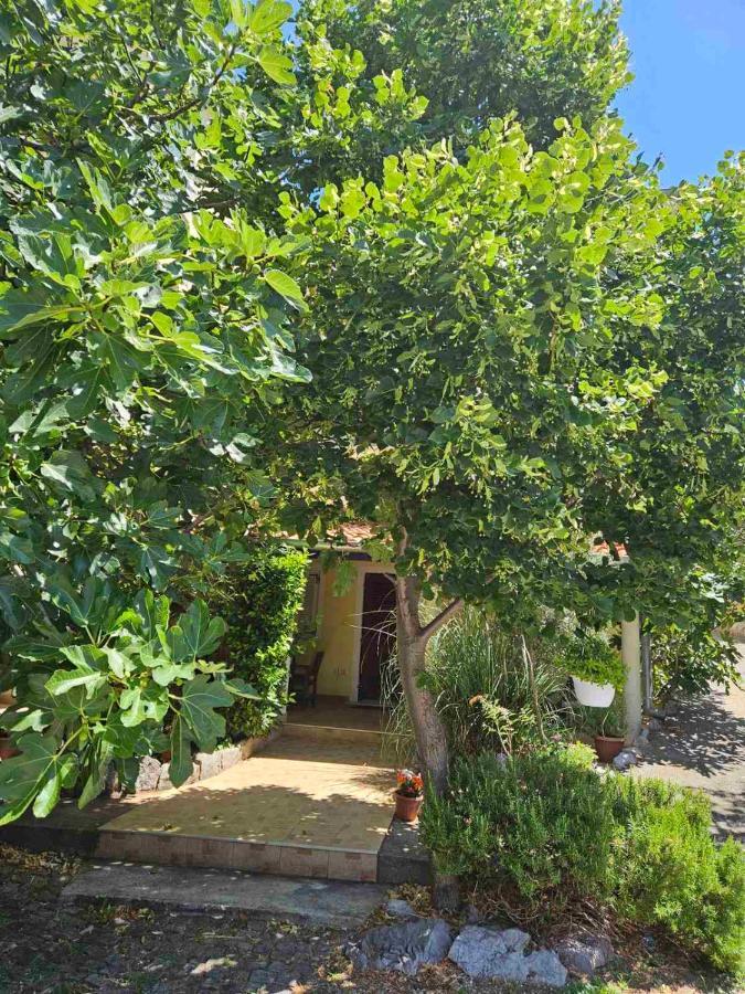 Apartmani Sanja Klenovica Εξωτερικό φωτογραφία