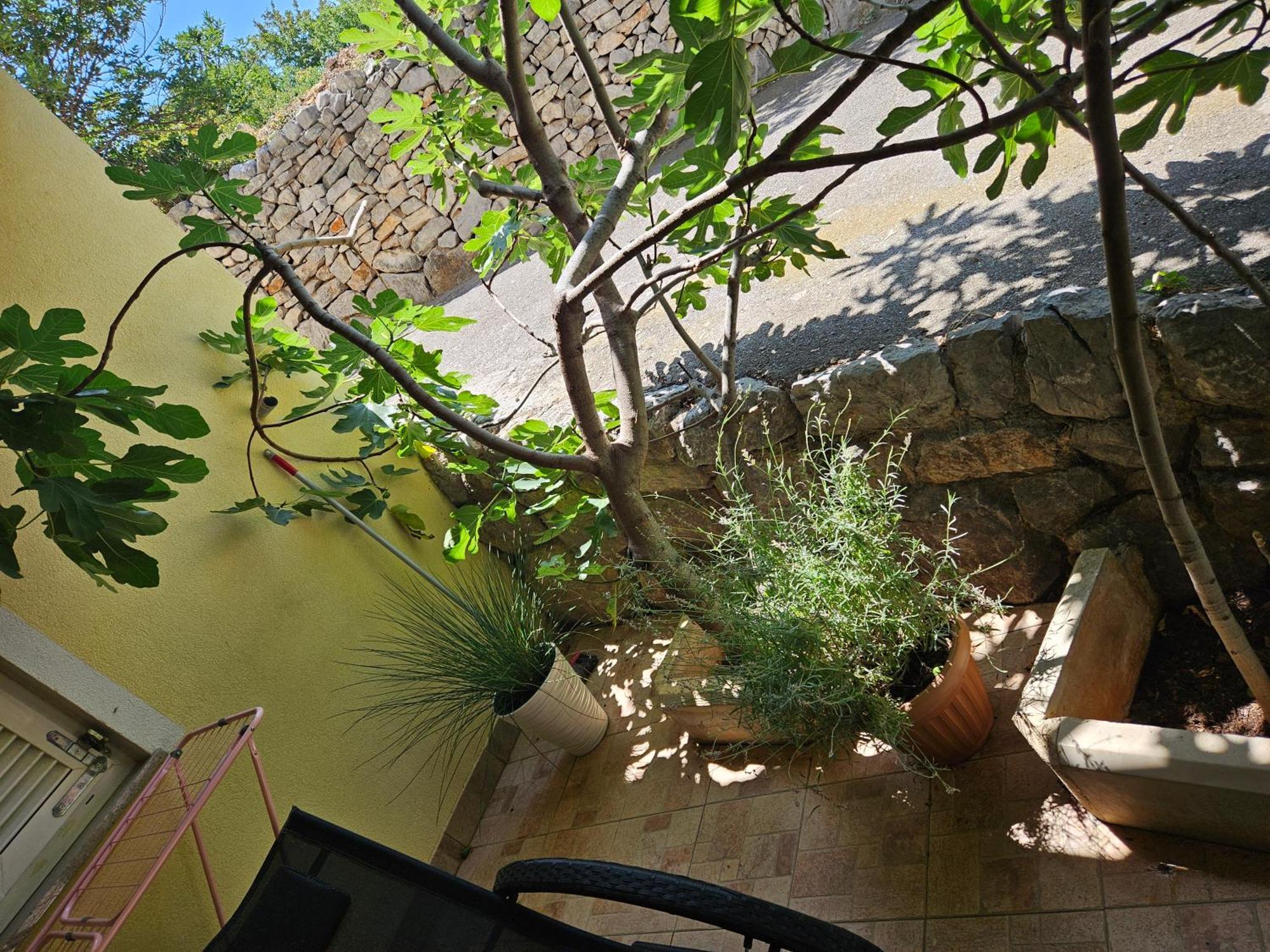 Apartmani Sanja Klenovica Εξωτερικό φωτογραφία