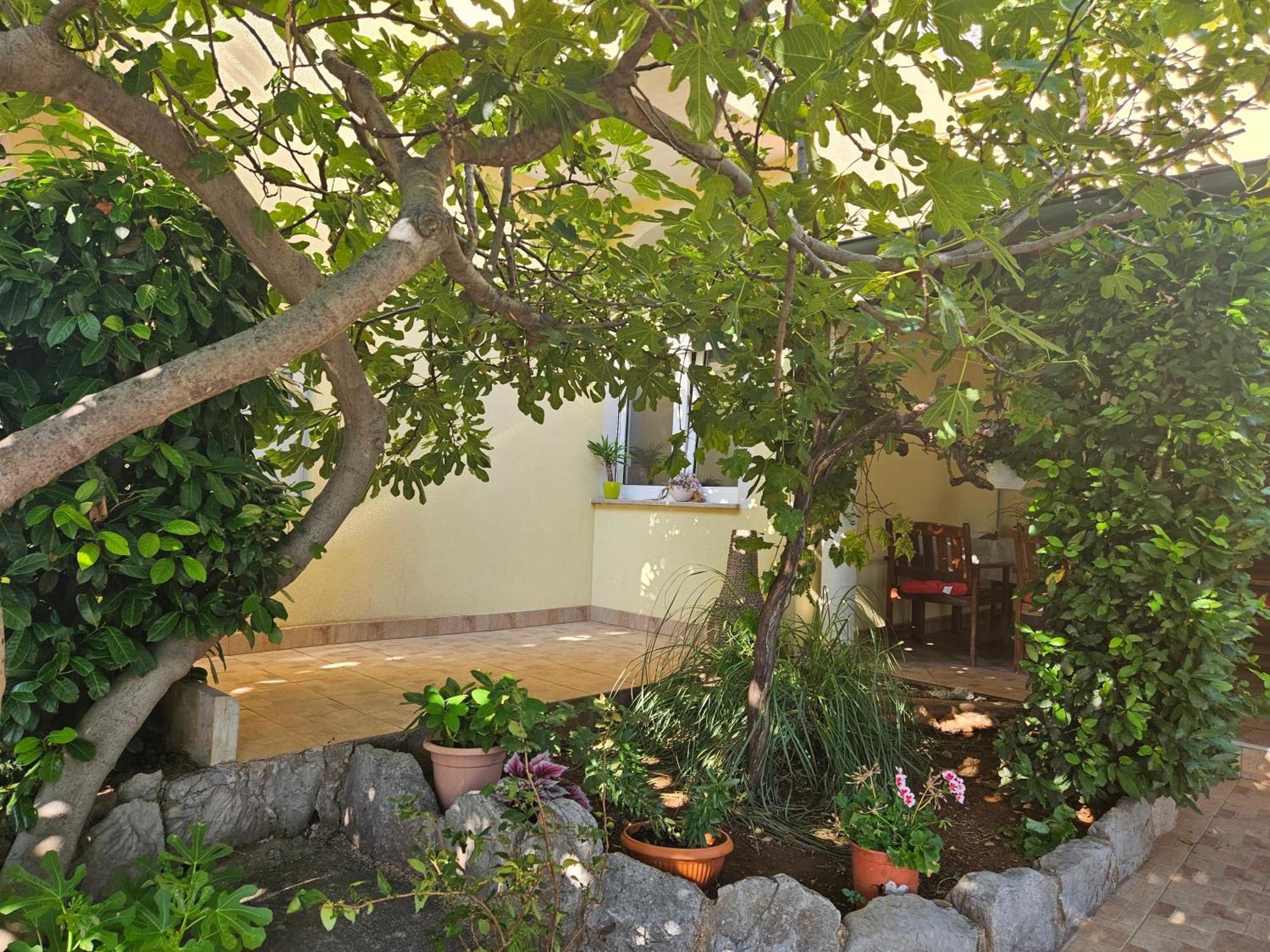 Apartmani Sanja Klenovica Εξωτερικό φωτογραφία