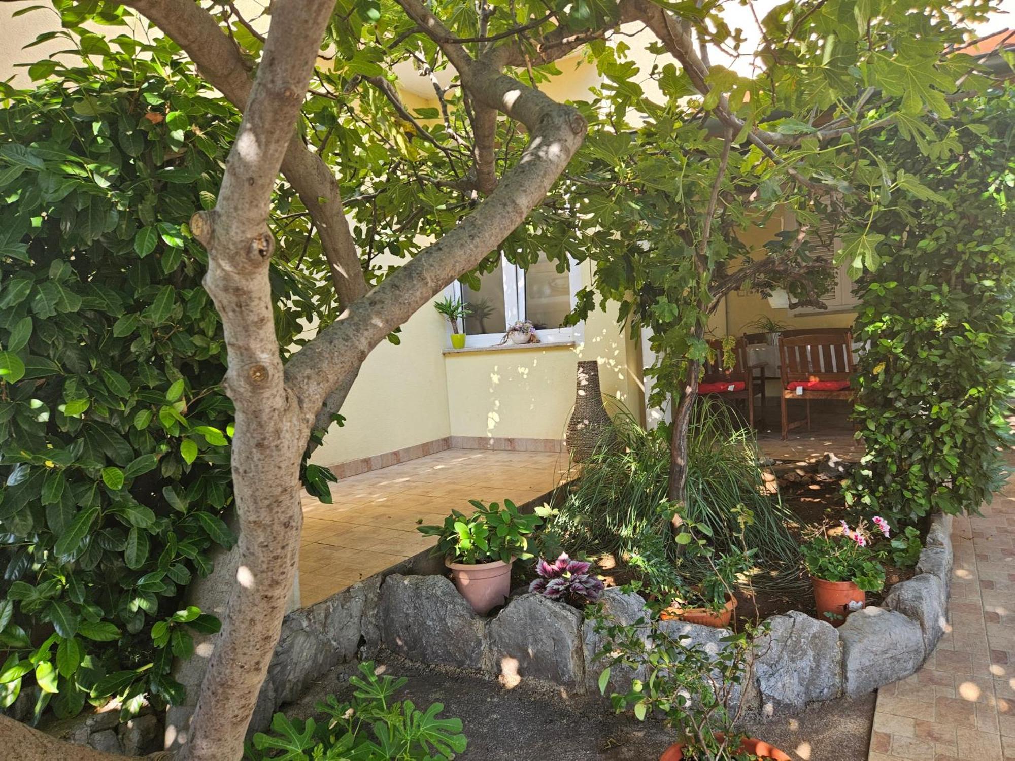 Apartmani Sanja Klenovica Εξωτερικό φωτογραφία